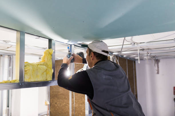 Best Types of Insulation in Tahoma, CA